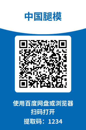 中国腿模