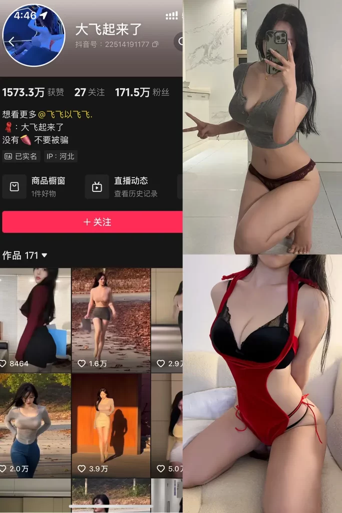 大飞起来了