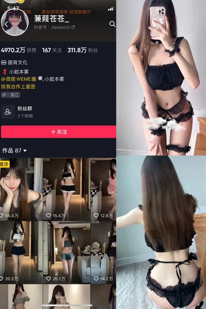 蒹葭苍苍