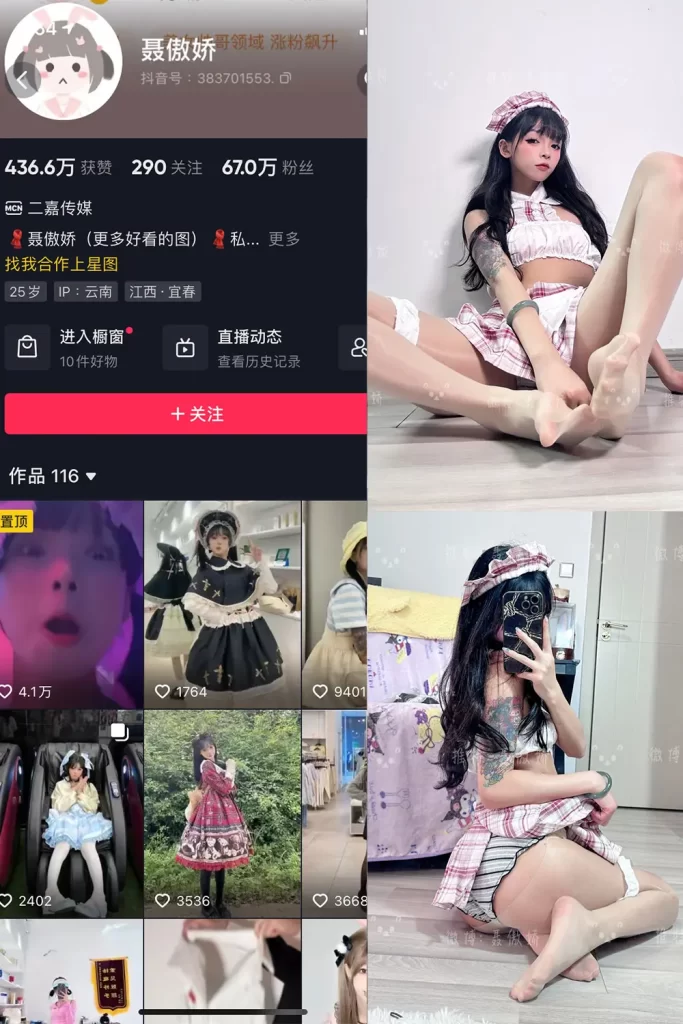 聂傲娇