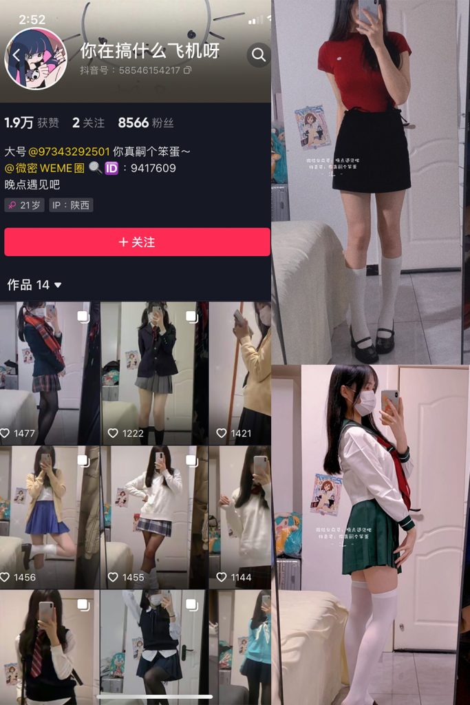 你真嗣个笨蛋