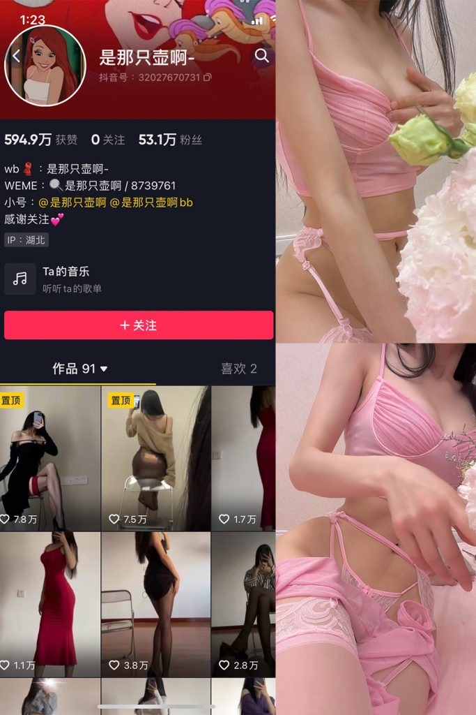 是那只壶啊