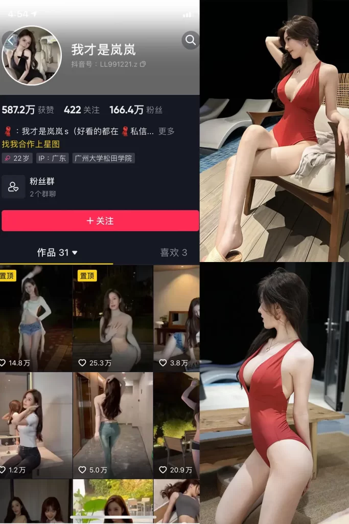 我才是岚岚