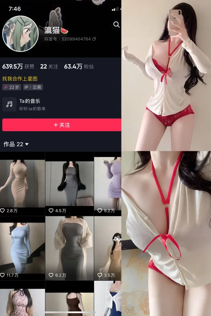 瀛猫