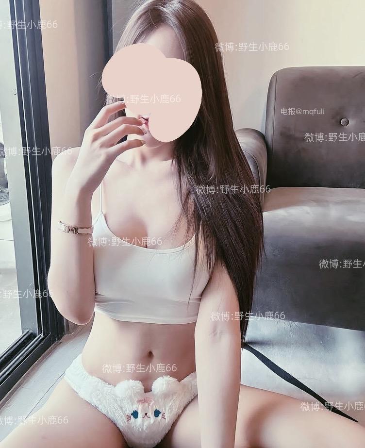 图片[1]-野生小鹿