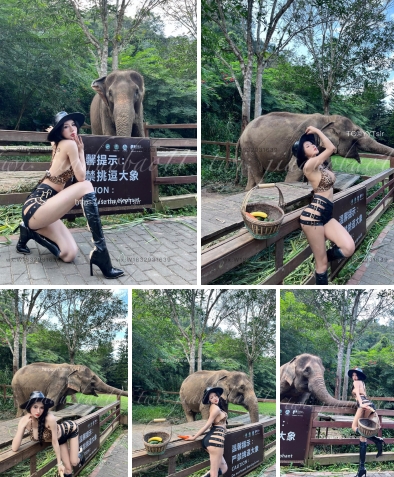 图片[3]-佳佳的宝贝们