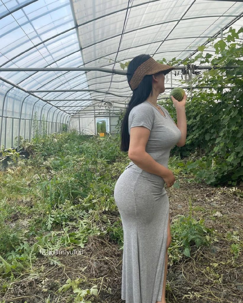 图片[1]-大美乐乐