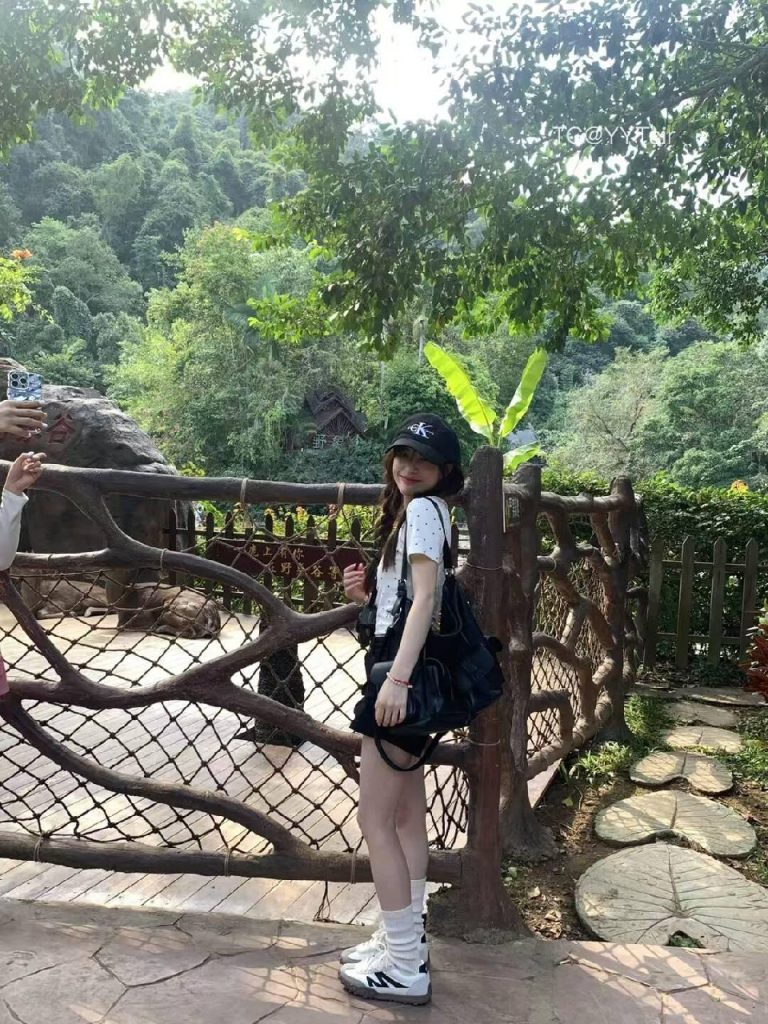图片[3]-桐月拾