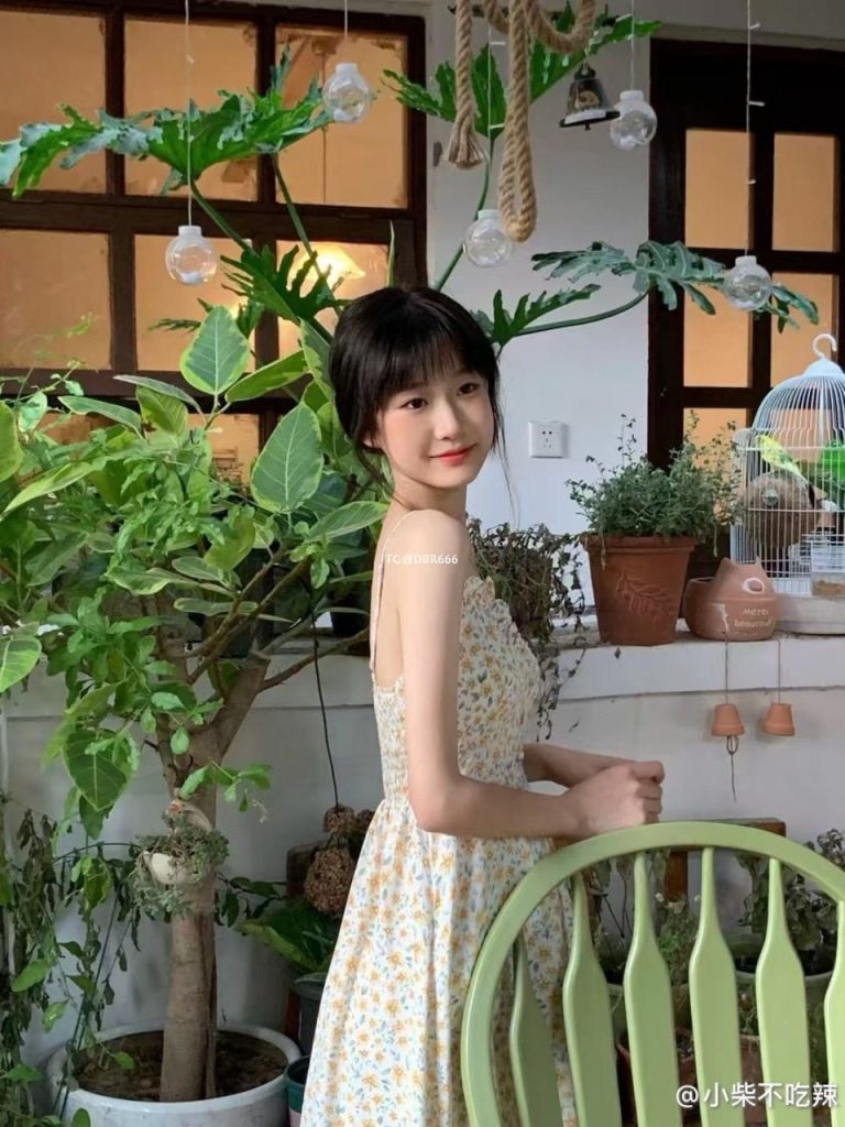 图片[5]-小兔乖乖