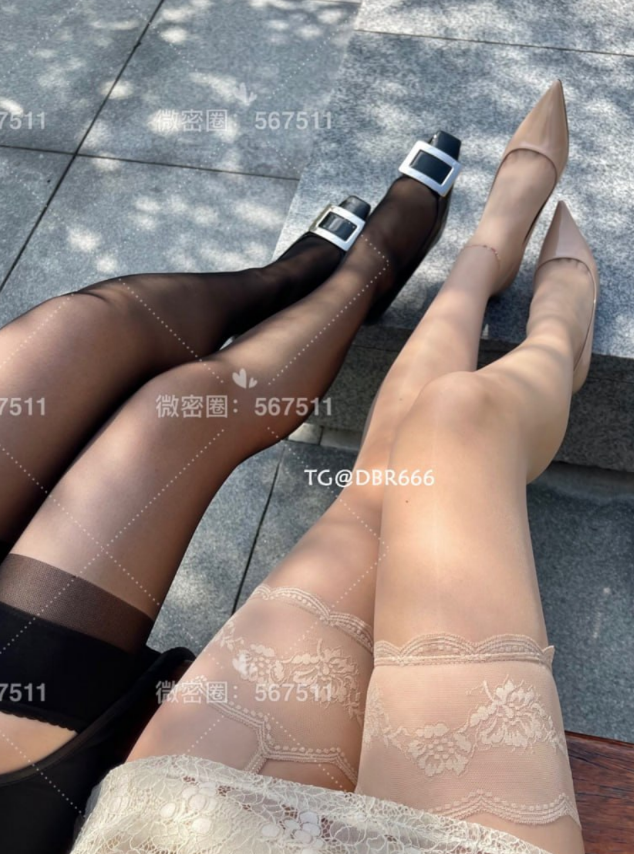 图片[3]-一只哈比猪